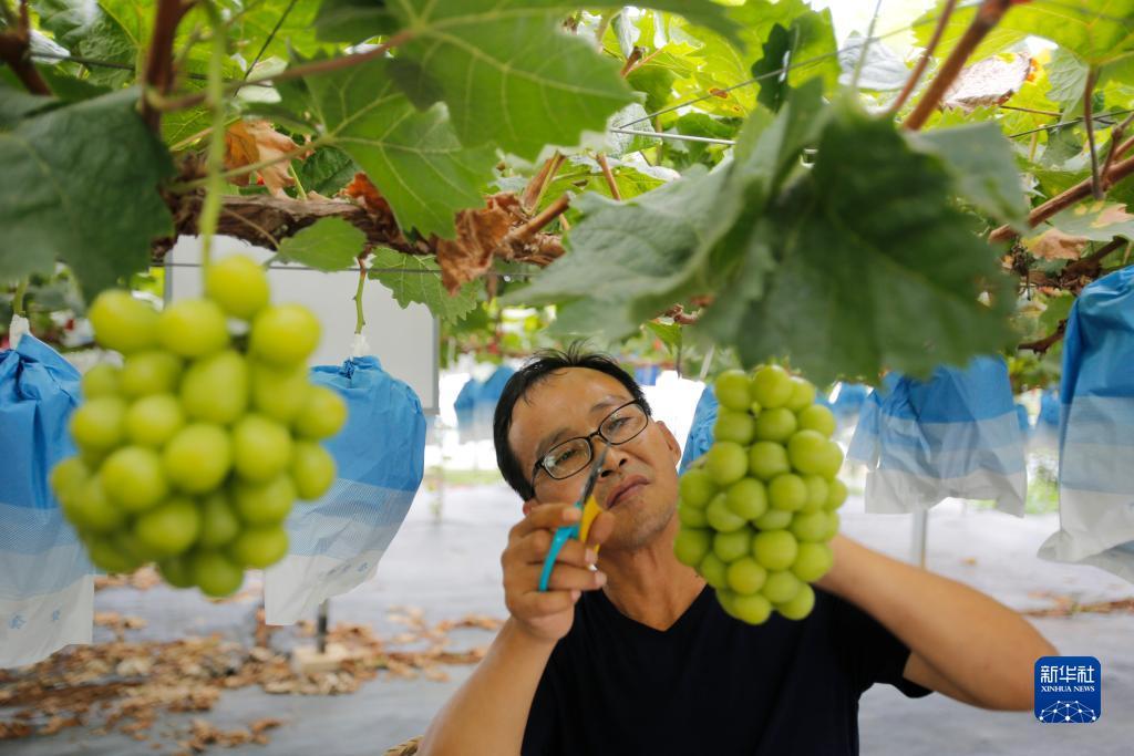 秦皇岛捕鱼